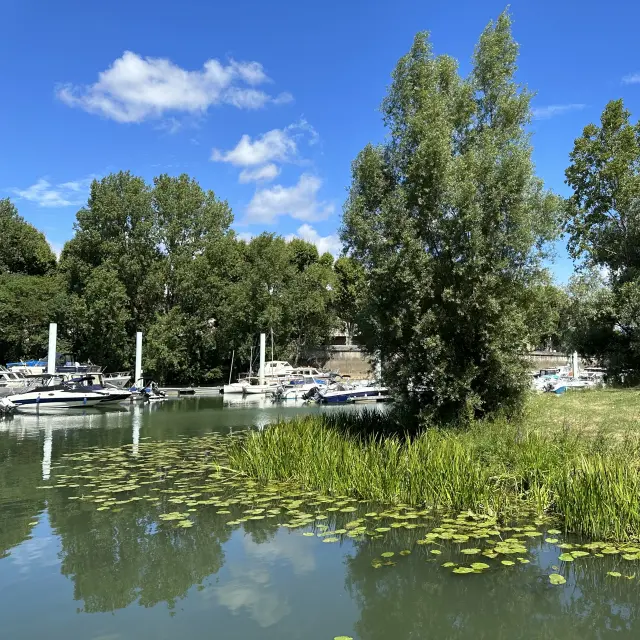 Jachthafen Chalon Sur Saone 2023 10