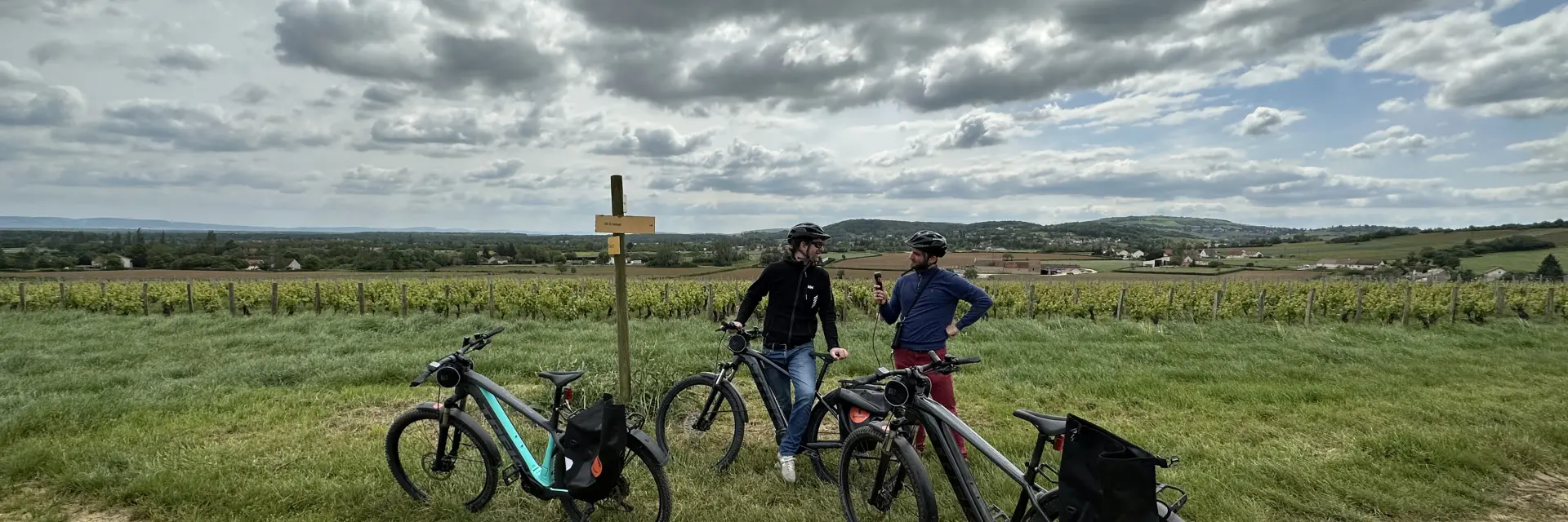 Randonnee Velo Cyclotourisme Vignes 2023 Jm