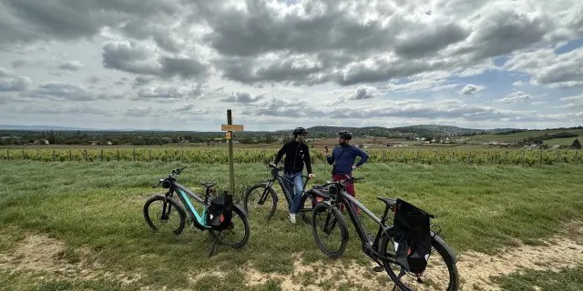 Randonnee Velo Cyclotourisme Vignes 2023 Jm