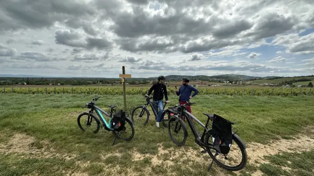 Wanderung Fahrrad Radtourismus Weinberge 2023 Jm