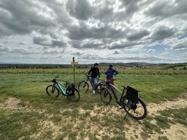Randonnee Velo Cyclotourisme Vignes 2023 Jm
