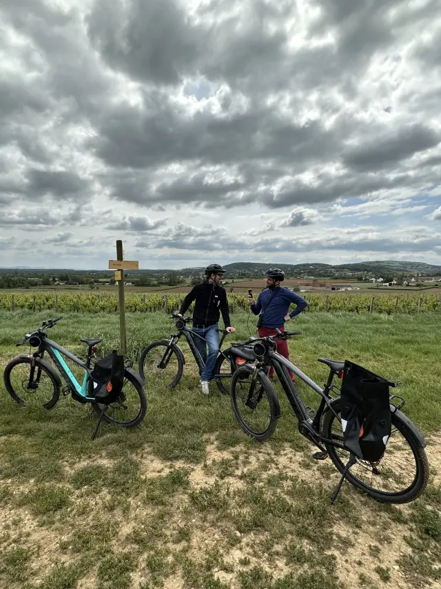 Randonnee Velo Cyclotourisme Vignes 2023 Jm