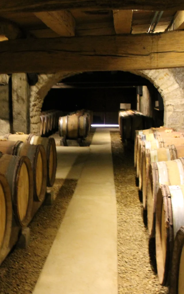 Cave Cote Chalonnaise Jm 2
