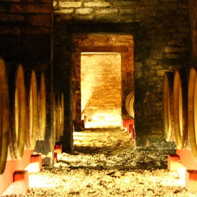Caves Chateau De Chamirey