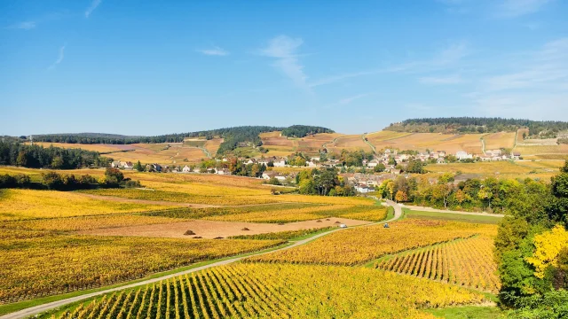 Cote Chalonnaise Autumn Jm