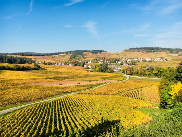 Cote Chalonnaise Automne Jm