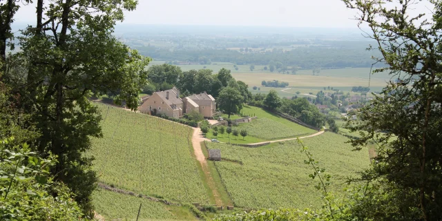 Domaine Viticole Cote Chalonnaise