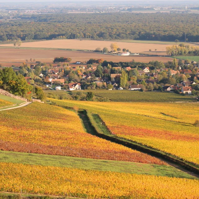 Givry Et Poncey Randonnee Autumn 2
