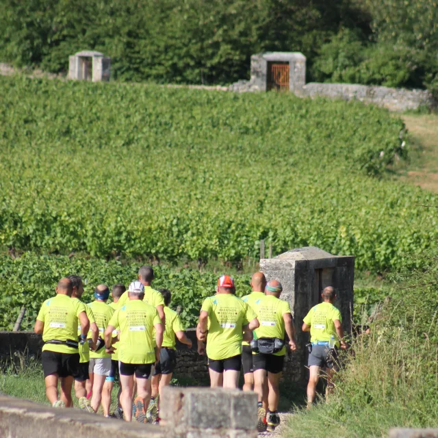 Marathon Vins Cote Chalonnaise