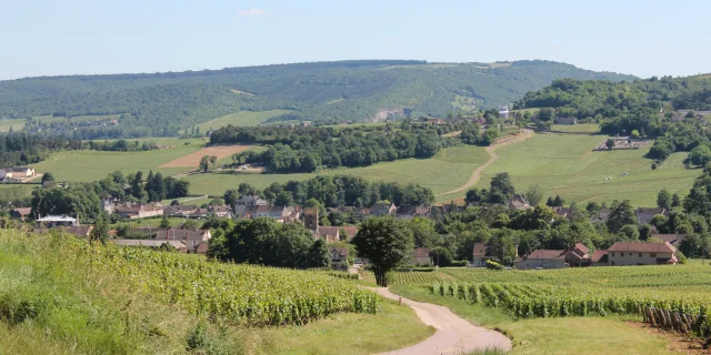 Mercurey Vignes June 2016 15