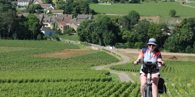 Mercurey Vignes June 2016 58