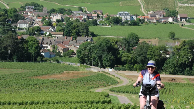 Mercurey Vignes Juni 2016 58