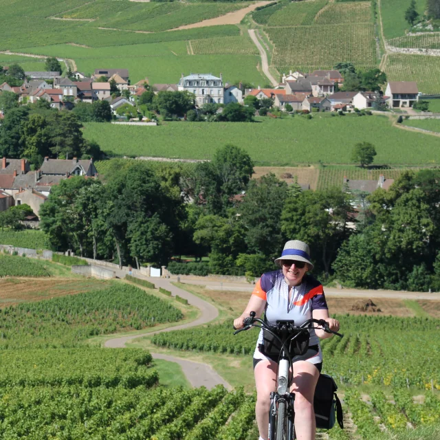 Mercurey Vignes Juin 2016 58