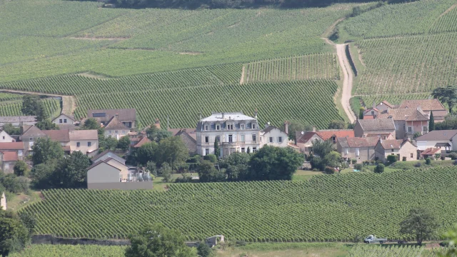 Mercurey Weinbergbesuch 2021 Jm 16