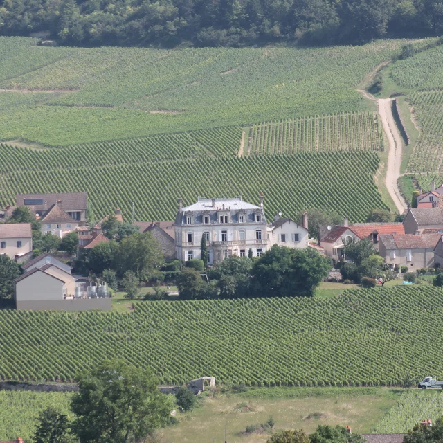 Mercurey Vineyard tour 2021 Jm 16