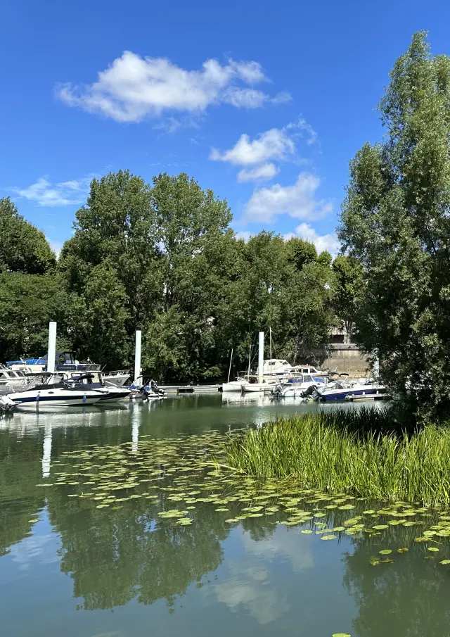 Port De Plaisance Chalon Sur Saone 2023 10