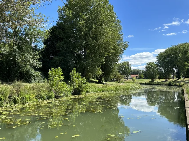 Port De Plaisance Chalon Sur Saone 2023 5