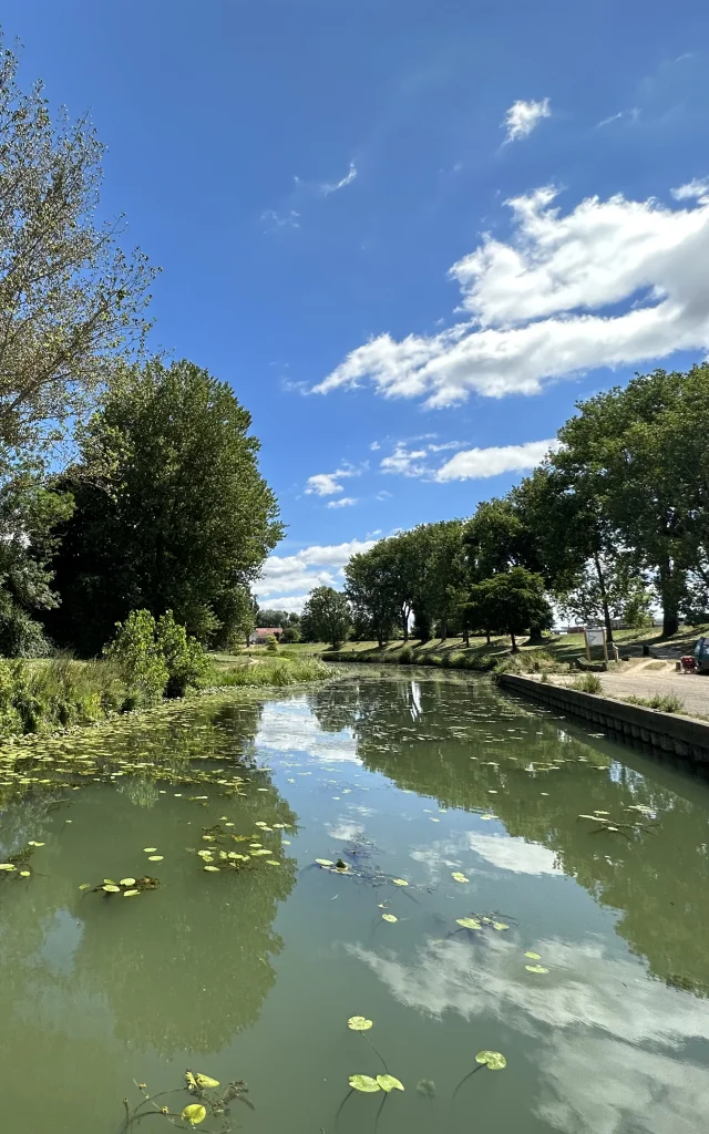 Marina Chalon Sur Saone 2023 7