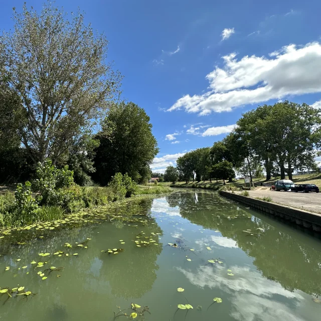 Yachthafen Chalon Sur Saone 2023 7