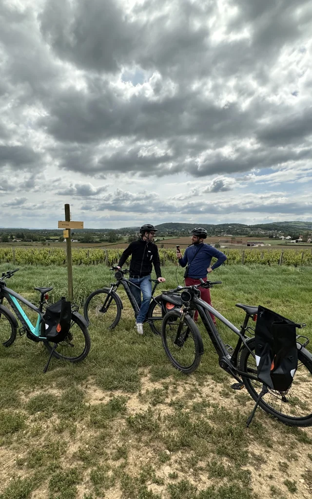 Wanderung Fahrrad Radtourismus Weinberge 2023 Jm