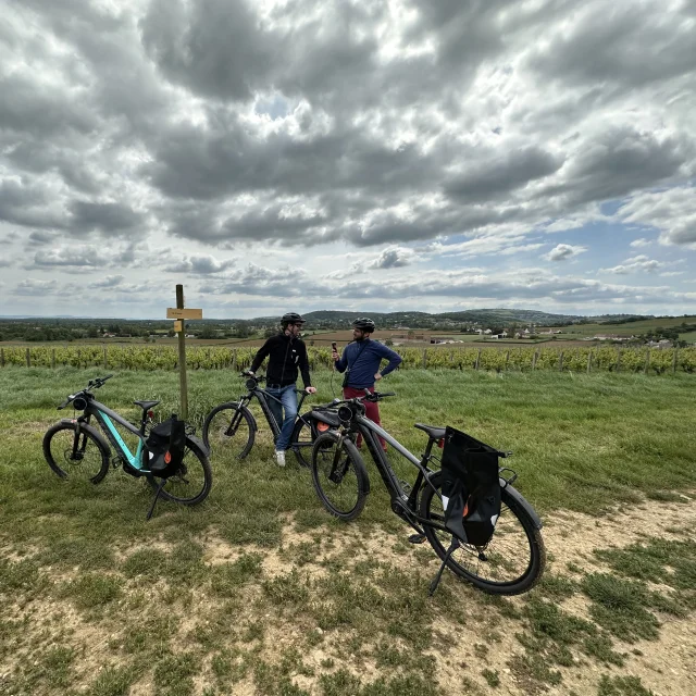 Randonnee Velo Cyclotourisme Vignes 2023 Jm