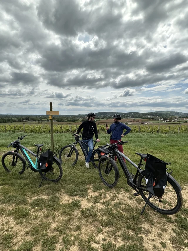 Wanderung Fahrrad Radtourismus Weinberge 2023 Jm