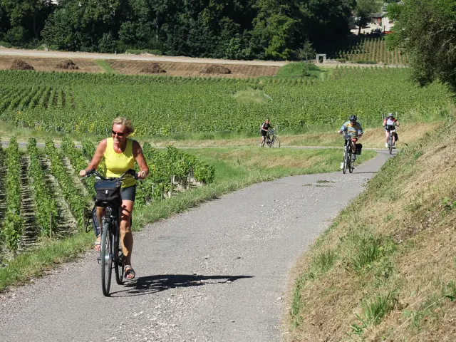 Route Des Grands Vins Touches