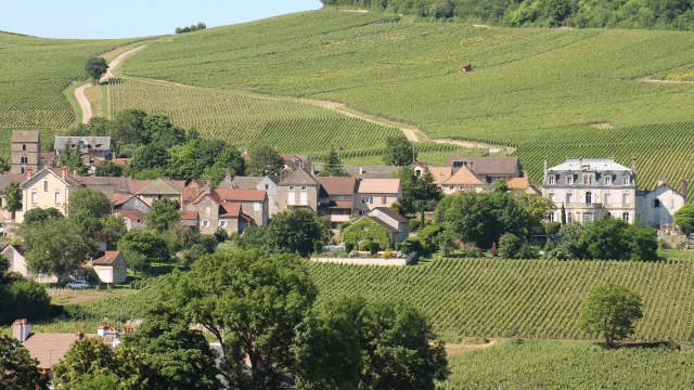 Route Des Vins Cote Chalonnaise Mercurey