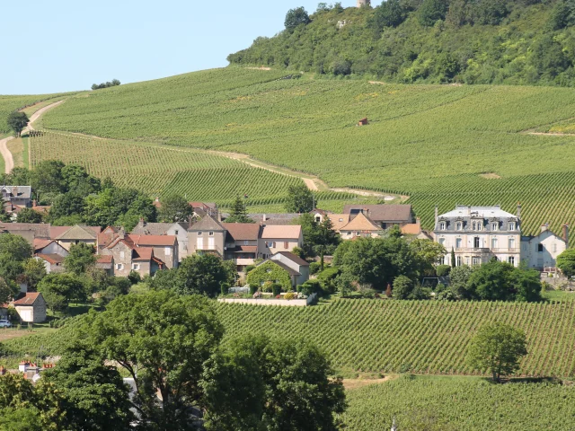 Route Des Vins Cote Chalonnaise Mercurey