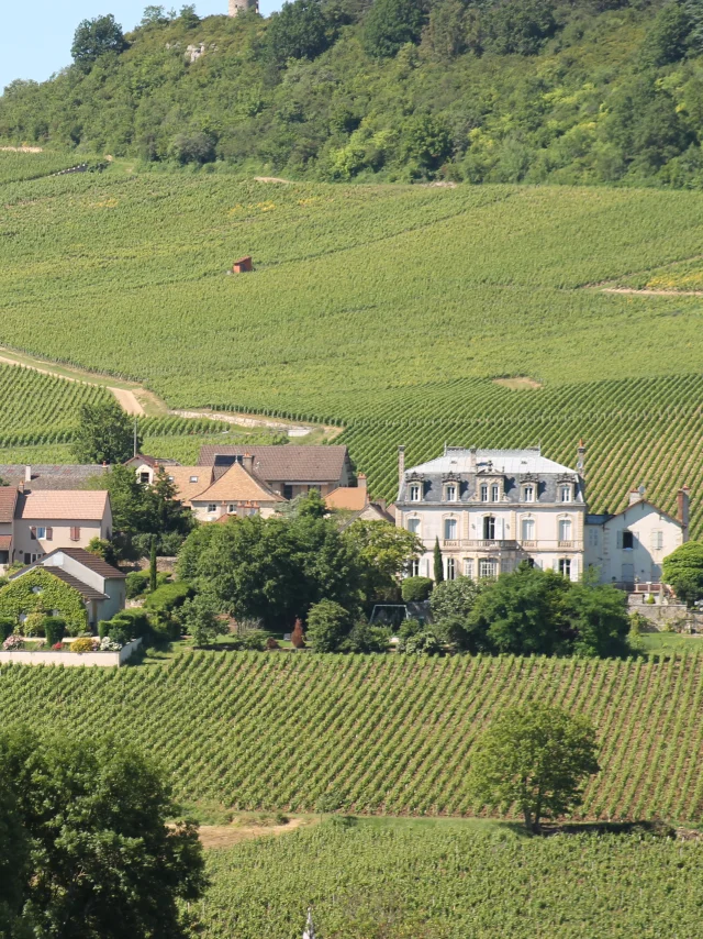 Route Des Vins Cote Chalonnaise Mercurey
