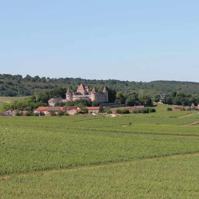 Rully Chateau Vignes June 2016 1