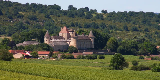 Rully Chateau Vignes June 2016 17