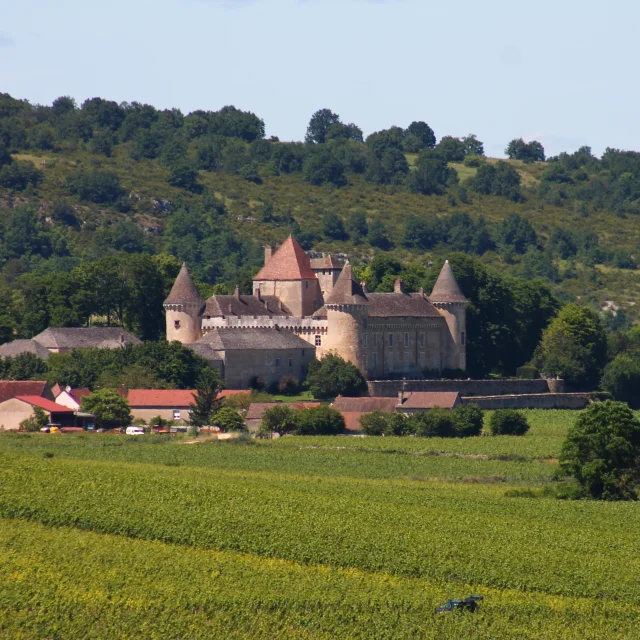 Rully Chateau Vignes June 2016 17