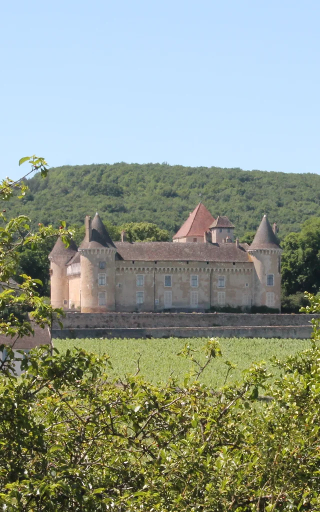 Rully Chateau Vignes June 2016 25