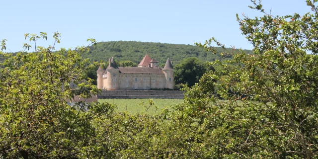 Rully Chateau Vignes Juin 2016 25