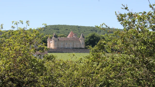Rully Chateau Vignes Juni 2016 25