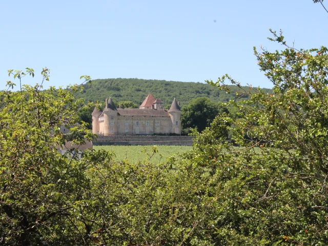 Rully Chateau Vignes Juin 2016 25