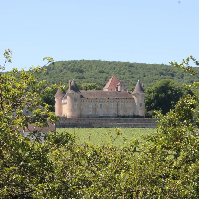 Rully Chateau Vignes June 2016 25