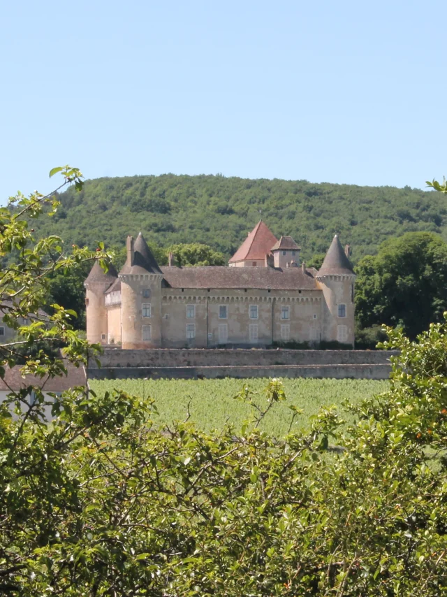 Rully Chateau Vignes June 2016 25