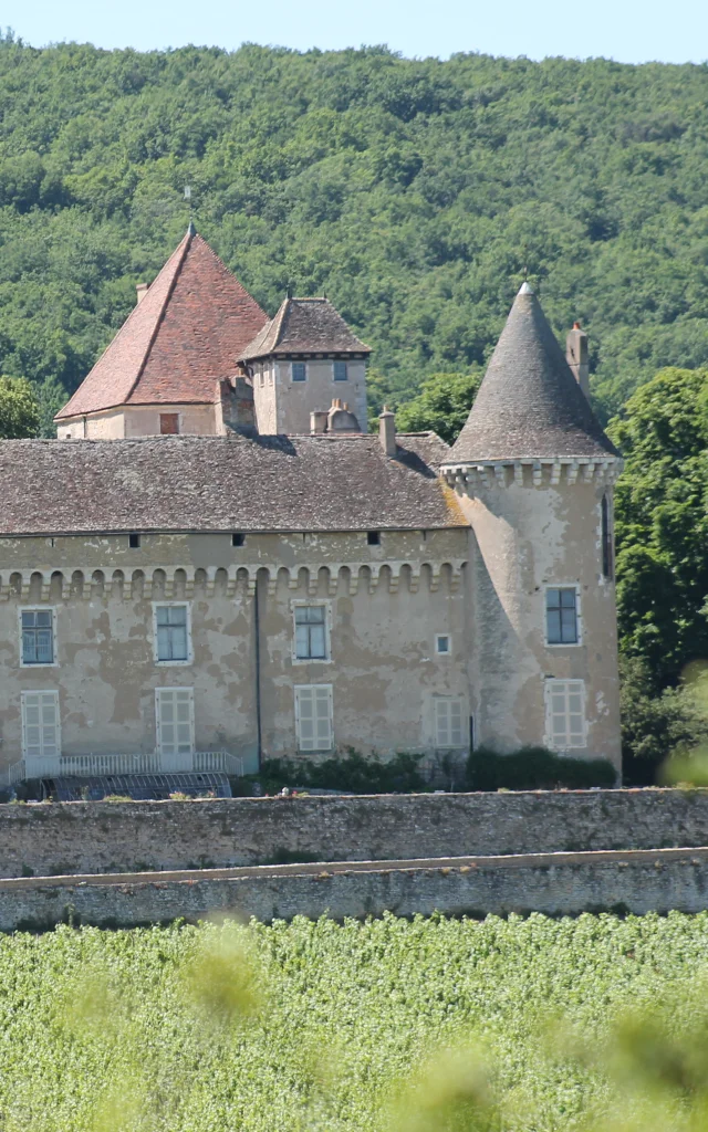 Rully Chateau Vignes Juin 2016 28