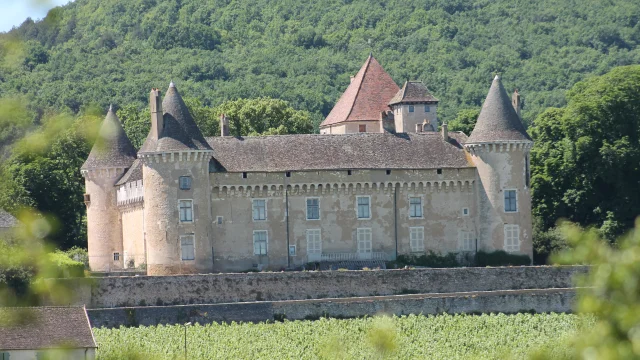 Rully Chateau Vignes Juni 2016 28