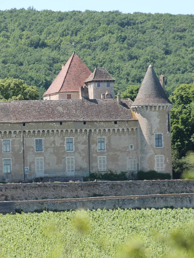 Rully Chateau Vignes June 2016 28