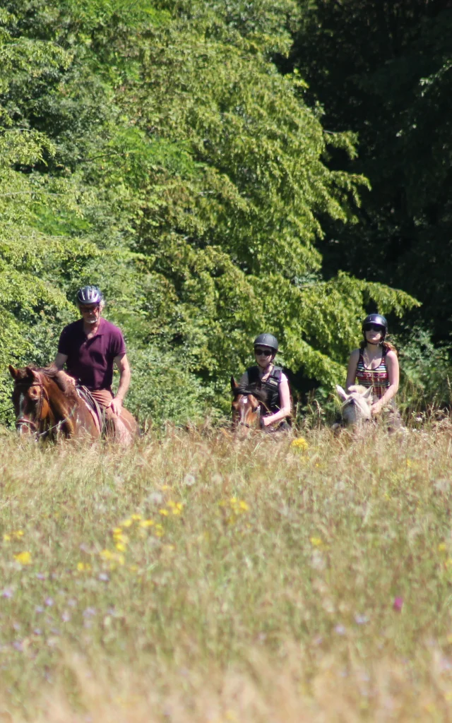 Rully Promenade Randonnee Cheval