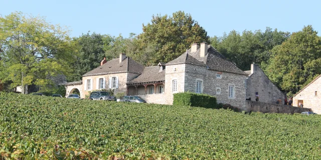 Vignobles Mercurey