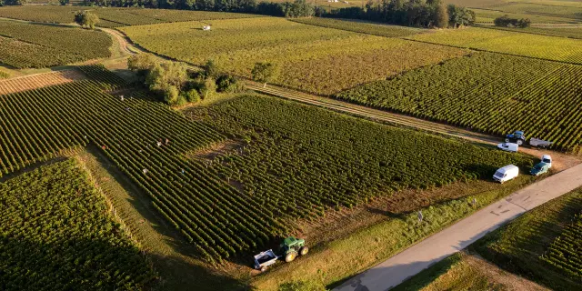 Vdc Gc Cheilly Les Maranges Md 7