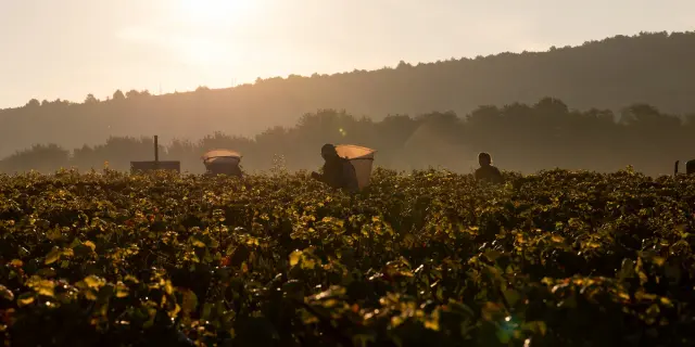 Vdc Gc Cheilly Les Maranges Md 9