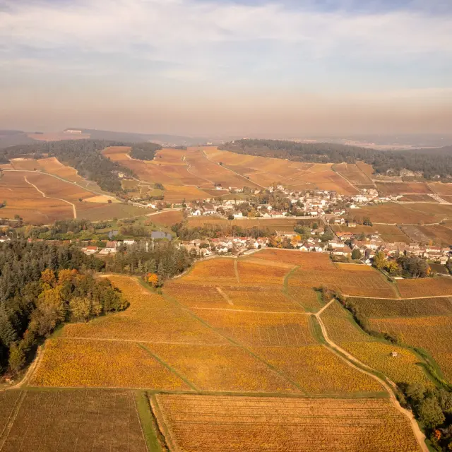 Vdc Gc Mercurey Md 3