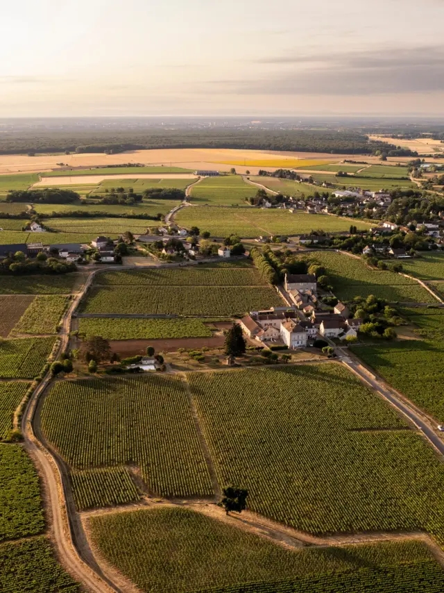 Vdc Gc Mercurey Md 5