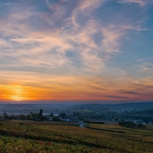 Instagram #legrandchalon