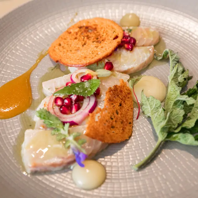 C Dsl Itinera Magica 8